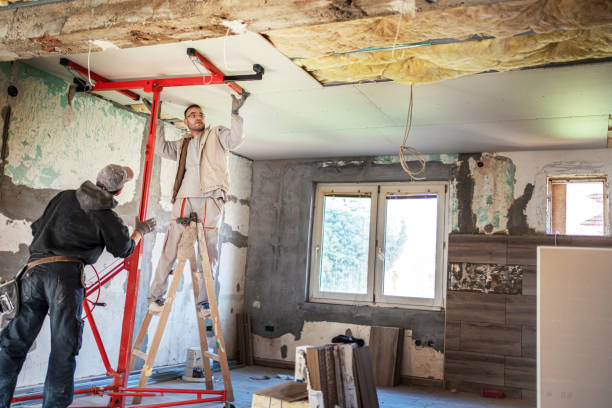 Best Cellulose Insulation  in Foscoe, NC