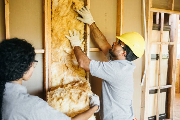Best Professional Insulation Contractor  in Foscoe, NC