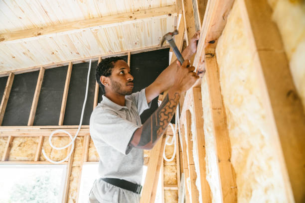Best Attic Insulation Installation  in Foscoe, NC