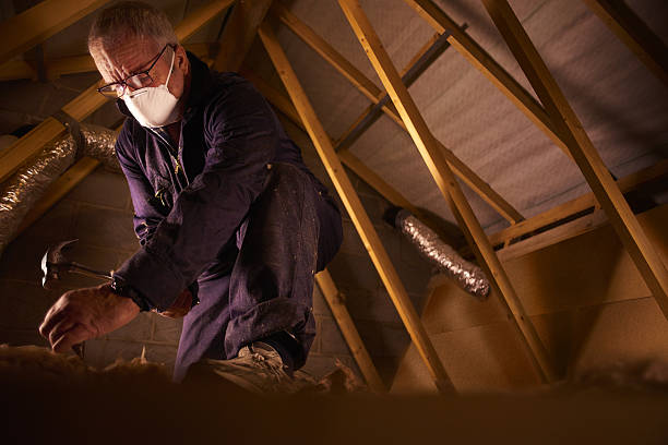 Professional Insulation Contractor in Foscoe, NC